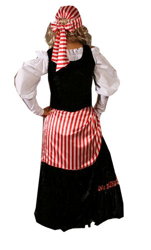 Ladies Deluxe Pirate Costume Size 10 - 12 Image